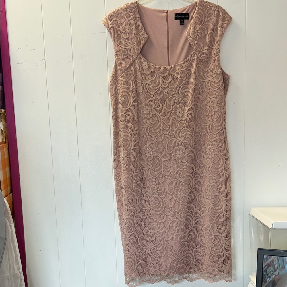 Connected Apparel Lace Mini Dress in Pink